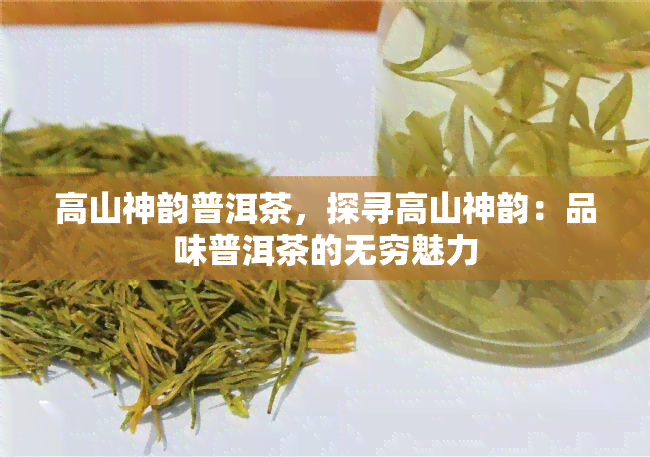 高山神韵普洱茶，探寻高山神韵：品味普洱茶的无穷魅力