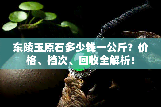 东陵玉原石多少钱一公斤？价格、档次、回收全解析！