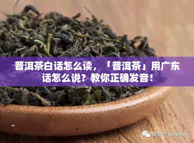 普洱茶白话怎么读，「普洱茶」用广东话怎么说？教你正确发音！