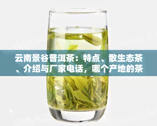 云南景谷普洱茶：特点、散生态茶、介绍与厂家电话，哪个产地的茶砖最美味？