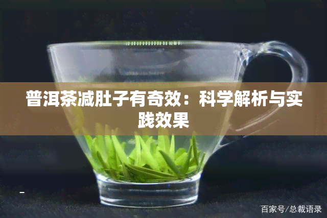 普洱茶减肚子有奇效：科学解析与实践效果