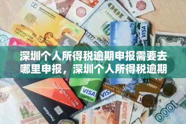 深圳个人所得税逾期申报需要去哪里申报，深圳个人所得税逾期申报指南：去哪里申报？