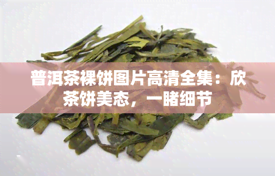 普洱茶裸饼图片高清全集：欣茶饼美态，一细节