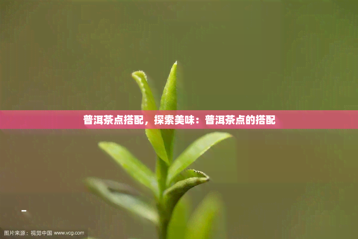 普洱茶点搭配，探索美味：普洱茶点的搭配