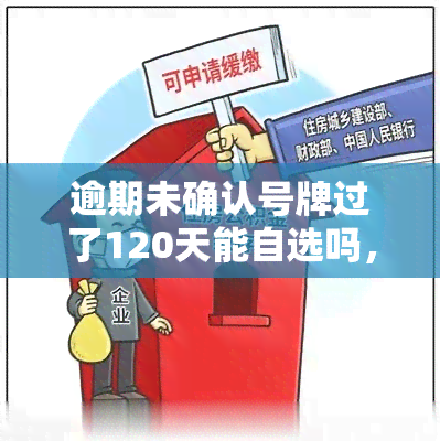 逾期未确认号牌过了120天能自选吗，逾期未确认号牌超120天，能否进行自选?