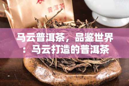 马云普洱茶，品鉴世界：马云打造的普洱茶