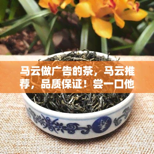 马云做广告的茶，马云推荐，品质保证！尝一口他做的茶，让你回味无穷！