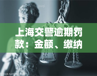 上海交警逾期罚款：金额、缴纳方式及后果全解析