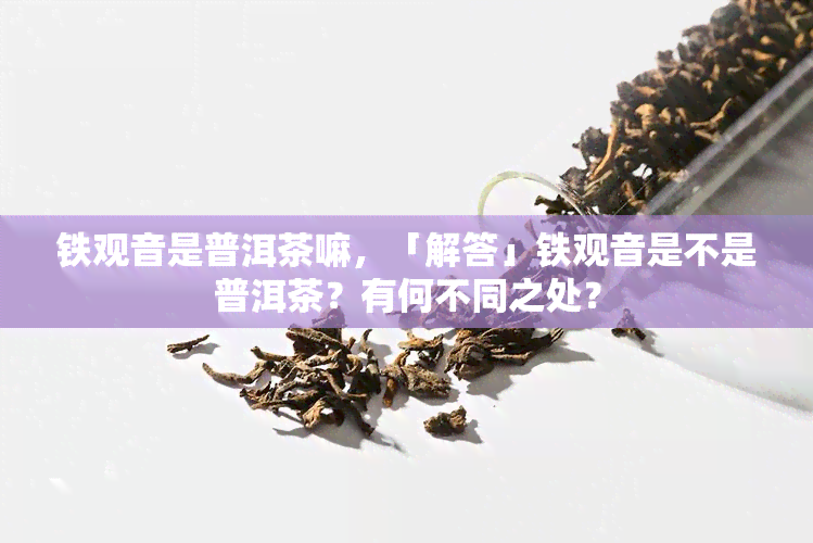 铁观音是普洱茶嘛，「解答」铁观音是不是普洱茶？有何不同之处？