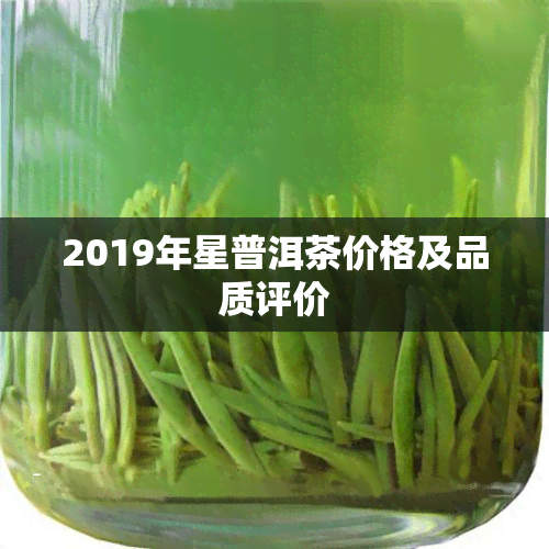 2019年星普洱茶价格及品质评价