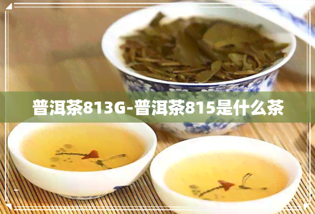 普洱茶813G-普洱茶815是什么茶