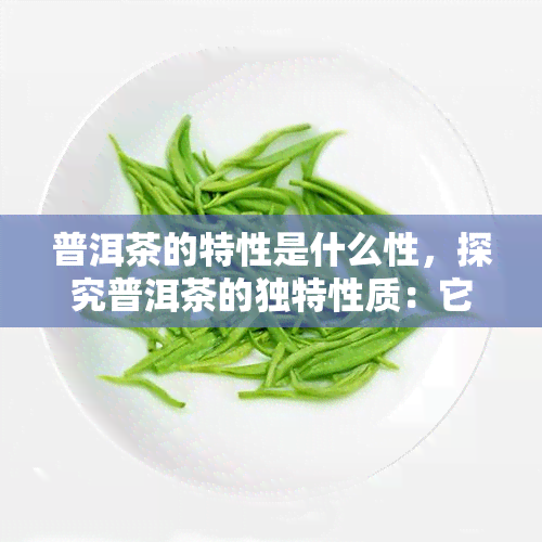 普洱茶的特性是什么性，探究普洱茶的独特性质：它属于什么特性？