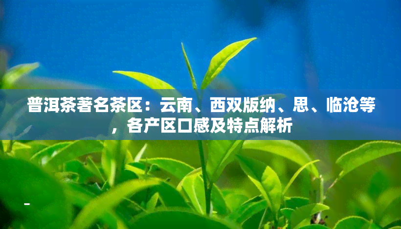 普洱茶著名茶区：云南、西双版纳、思、临沧等，各产区口感及特点解析