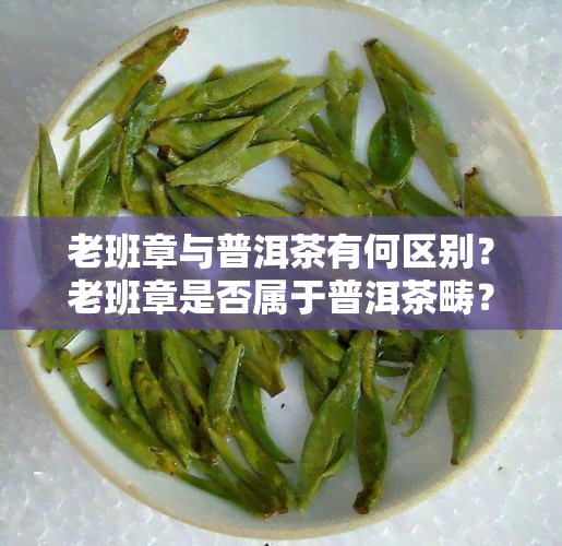 老班章与普洱茶有何区别？老班章是否属于普洱茶畴？它是熟茶吗？它的档次如何？