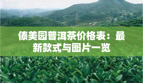 傣美园普洱茶价格表：最新款式与图片一览