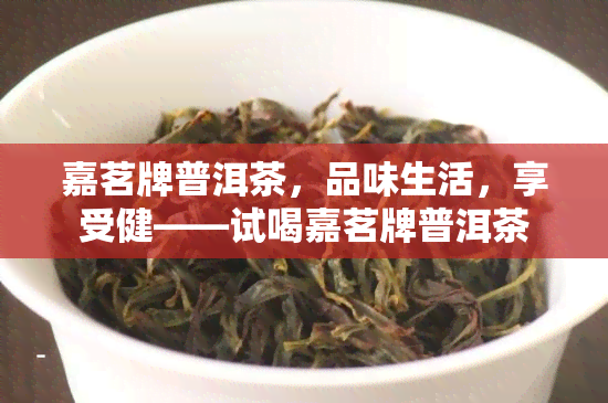 嘉茗牌普洱茶，品味生活，享受健——试喝嘉茗牌普洱茶