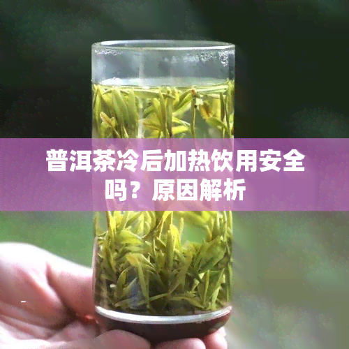 普洱茶冷后加热饮用安全吗？原因解析