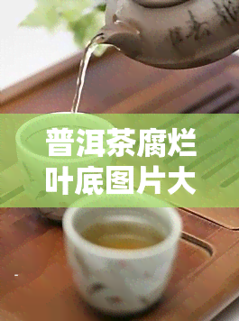 普洱茶腐烂叶底图片大全：高清展示，叶子特别腐烂，茶底烂，茶叶发霉图片