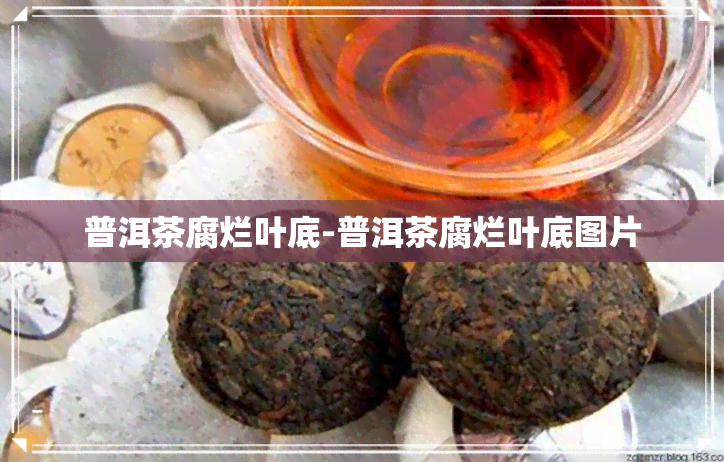 普洱茶腐烂叶底-普洱茶腐烂叶底图片