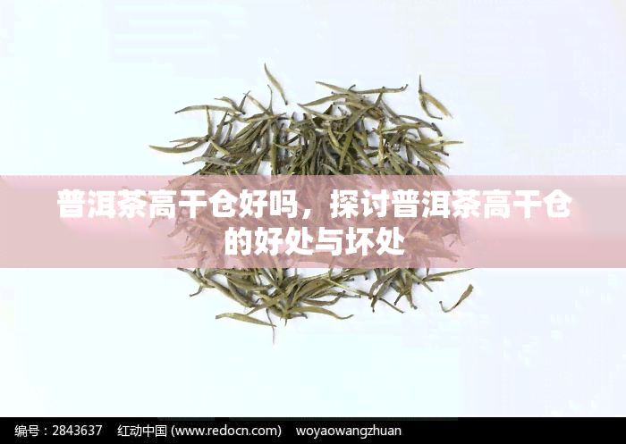 普洱茶高干仓好吗，探讨普洱茶高干仓的好处与坏处