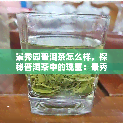 景秀园普洱茶怎么样，探秘普洱茶中的瑰宝：景秀园普洱茶如何？