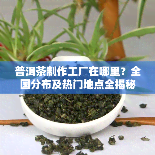 普洱茶制作工厂在哪里？全国分布及热门地点全揭秘！