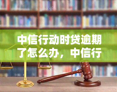 中信行动时贷逾期了怎么办，中信行动时贷逾期处理指南