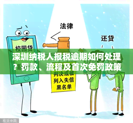 深圳纳税人报税逾期如何处理？罚款、流程及首次免罚政策详解