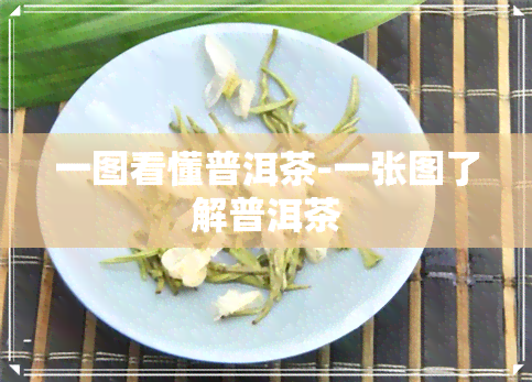 一图看懂普洱茶-一张图了解普洱茶