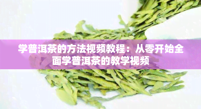 学普洱茶的方法视频教程：从零开始全面学普洱茶的教学视频