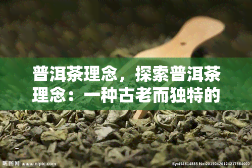 普洱茶理念，探索普洱茶理念：一种古老而独特的茶文化