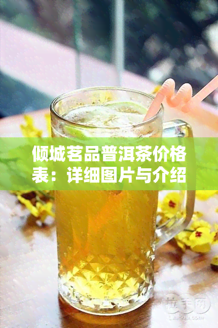 倾城茗品普洱茶价格表：详细图片与介绍，一目了然！