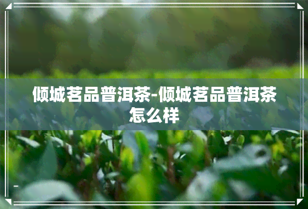 倾城茗品普洱茶-倾城茗品普洱茶怎么样