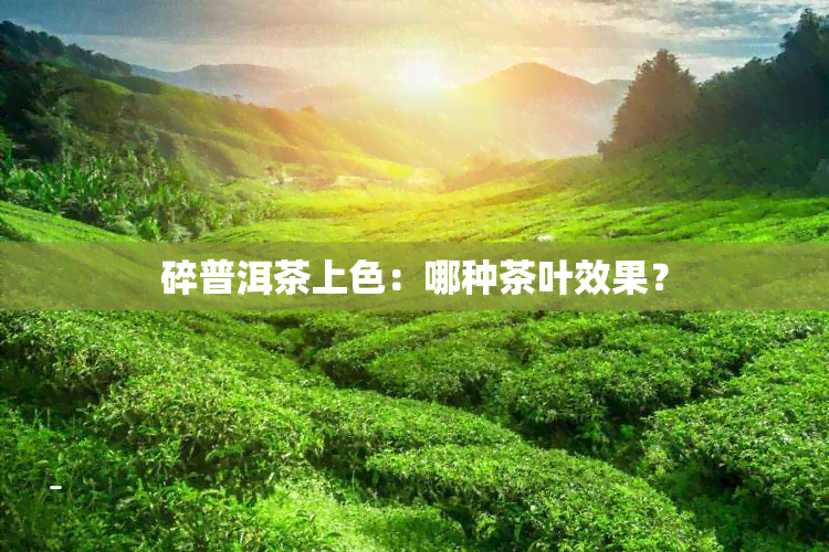 碎普洱茶上色：哪种茶叶效果？