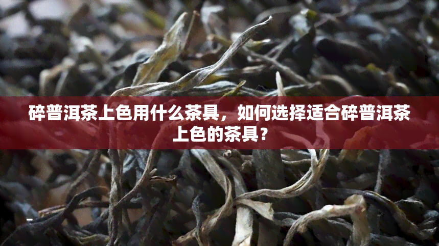 碎普洱茶上色用什么茶具，如何选择适合碎普洱茶上色的茶具？