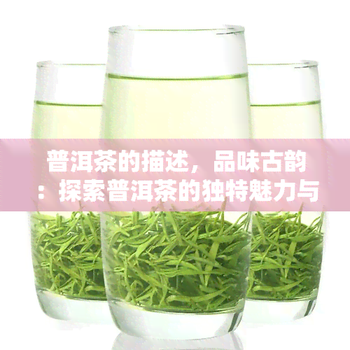 普洱茶的描述，品味古韵：探索普洱茶的独特魅力与历文化背景