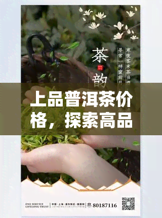 上品普洱茶价格，探索高品质普洱茶的价格围：从入门级到顶级的价位解析