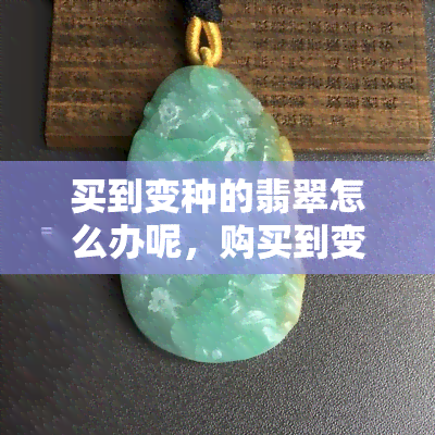 买到变种的翡翠怎么办呢，购买到变种翡翠，如何处理？