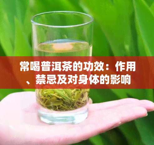 常喝普洱茶的功效：作用、禁忌及对身体的影响