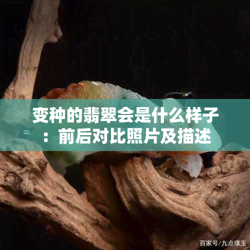 变种的翡翠会是什么样子：前后对比照片及描述