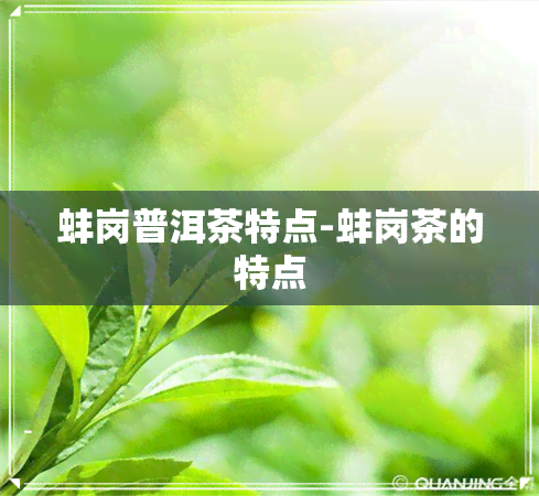 蚌岗普洱茶特点-蚌岗茶的特点