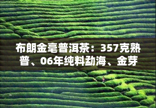 布朗金毫普洱茶：357克熟普、06年纯料勐海、金芽及珍品系列，一应俱全！