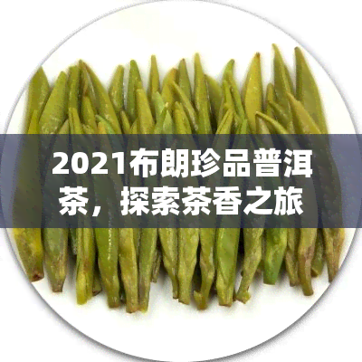 2021布朗珍品普洱茶，探索茶香之旅：品味2021布朗珍品普洱茶的独特魅力