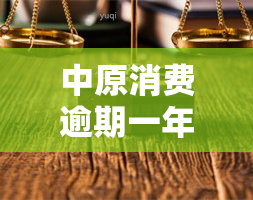 中原消费逾期一年了会上门吗，中原消费金融逾期一年，真的会上门吗？