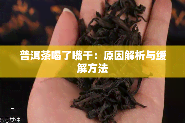 普洱茶喝了嘴干：原因解析与缓解方法