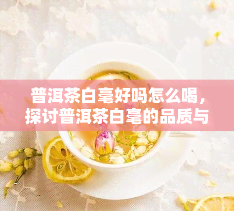 普洱茶白毫好吗怎么喝，探讨普洱茶白毫的品质与冲泡方法