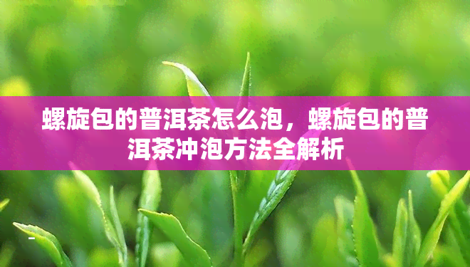 螺旋包的普洱茶怎么泡，螺旋包的普洱茶冲泡方法全解析