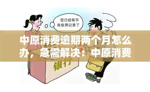 中原消费逾期两个月怎么办，急需解决：中原消费逾期两个月，应该采取哪些措？