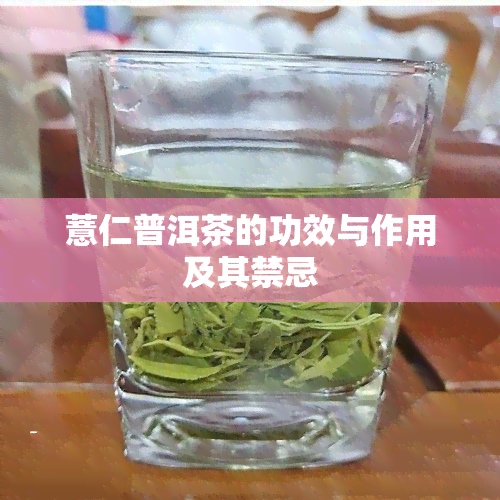 薏仁普洱茶的功效与作用及其禁忌