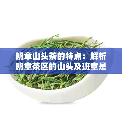 班章山头茶的特点：解析班章茶区的山头及班章是否为山头